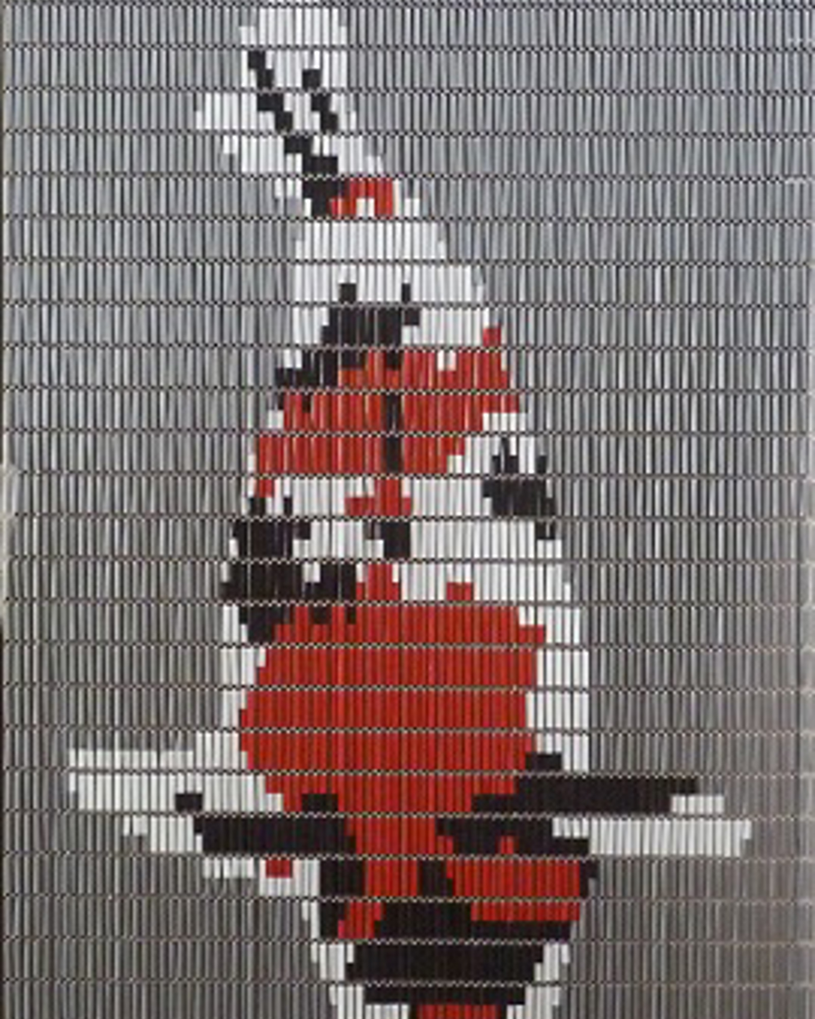 Vliegengordijn Hulzen Koi karper - 90cm x 210cm