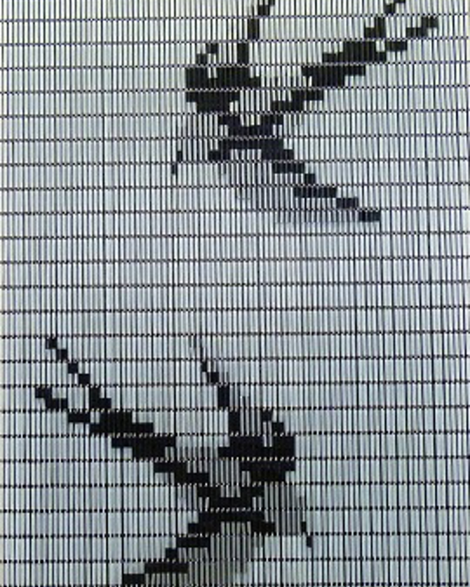 Vliegengordijn Hulzen Zwaluwen transparant - 90cm x 210cm